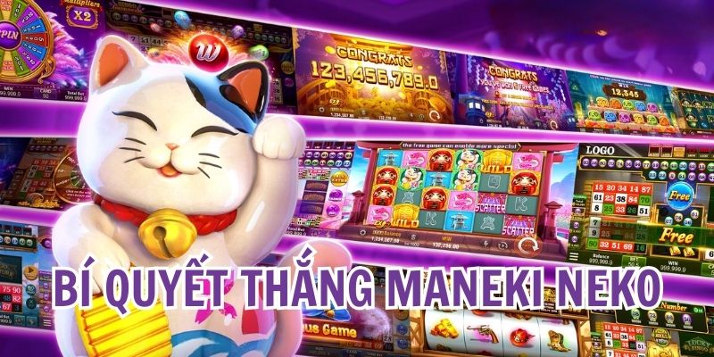 Nổ Hũ Mèo Chiêu Tài: Quay Ngay Vận May, Tiền Về Đầy Tay 7 3 mẹo giúp hội viên thu lợi nhuận lớn