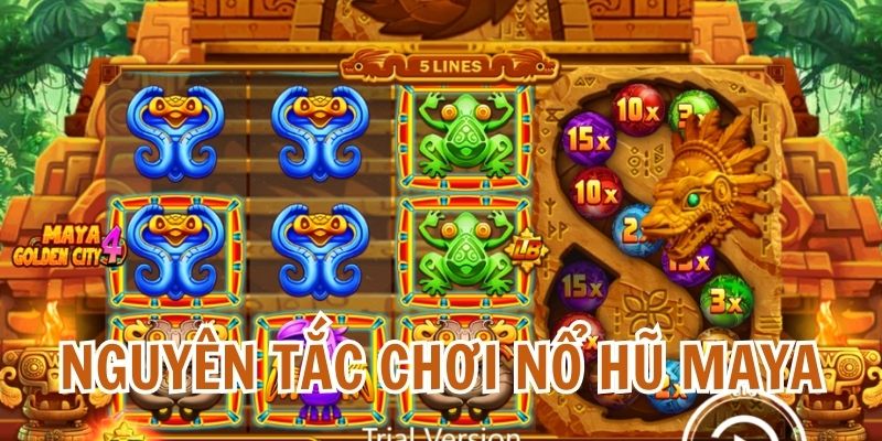 Nổ Hũ Thành Phố Maya: Cẩm Nang Thám Hiểm Truy Tìm Kho Báu Cổ 6 Nguyên tắc tham gia cược chung của game